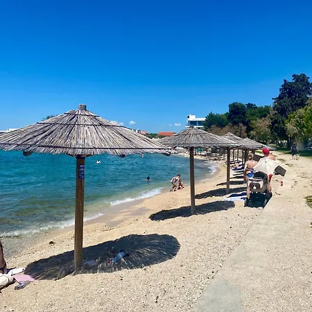 Intrada * Bibinje